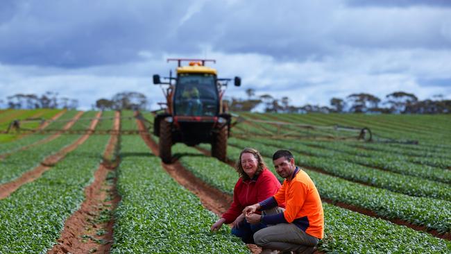 Carl Young on his family's Red Gold vegetable farm at Wemen, which has achieved carbon-neutral status. Picture: Excitations/AusVeg