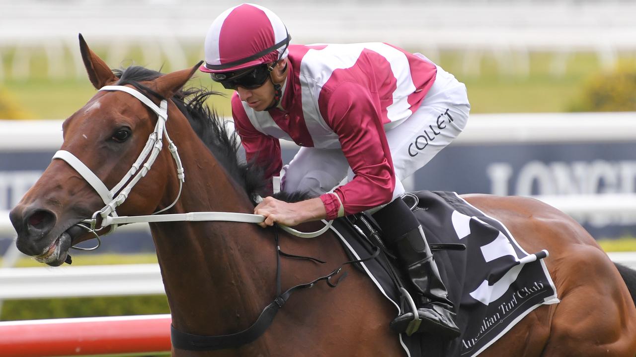 Arcadia Queen is battling to be fit for the Makybe Diva Stakes.