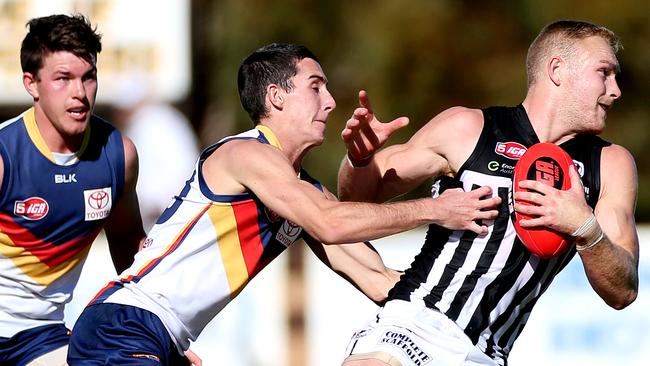 Port Adelaide and the Crows will have their “development” teams playing in an AFL national competition - and out of the SANFL - by 2022 if an AFL agenda for the D-League is fulfilled. Picture: Calum Robertson