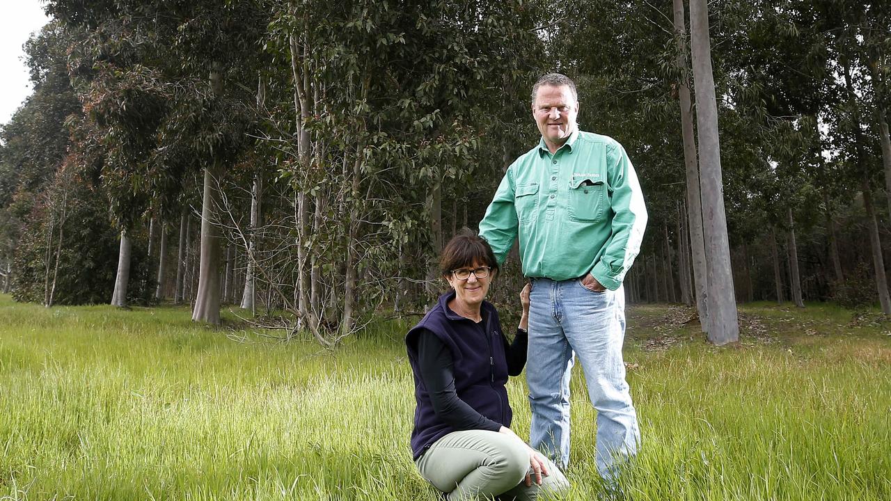 Mark Wootton from JigSaw Farms says the carbon myth is bad for farmers ...