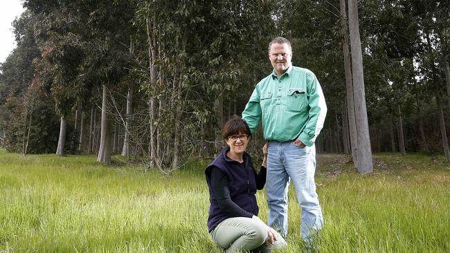 Eve Kantor and Mark Wootton from Jigsaw Farms at Hensley Park. Picture Yuri Kouzmin