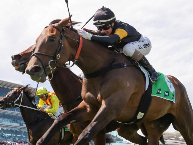 Deny Knowledge (IRE) ridden by Jamie Kah wins the TAB Matriarch Stakes at Flemington Racecourse on November 11, 2023 in Flemington, Australia. (Photo by George Sal/Racing Photos via Getty Images)