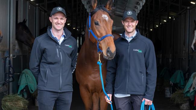 SUPPLIED PHOTOS TO RUN IN RACING VICTORIA SPRING CARNIVAL LIFTOUT IN THE HERALD SUN ON FRIDAY AUGUST 30, 2024, JD and Will Hayes with Mister Miracle at their Euroa stable. Picture: Racing Victoria