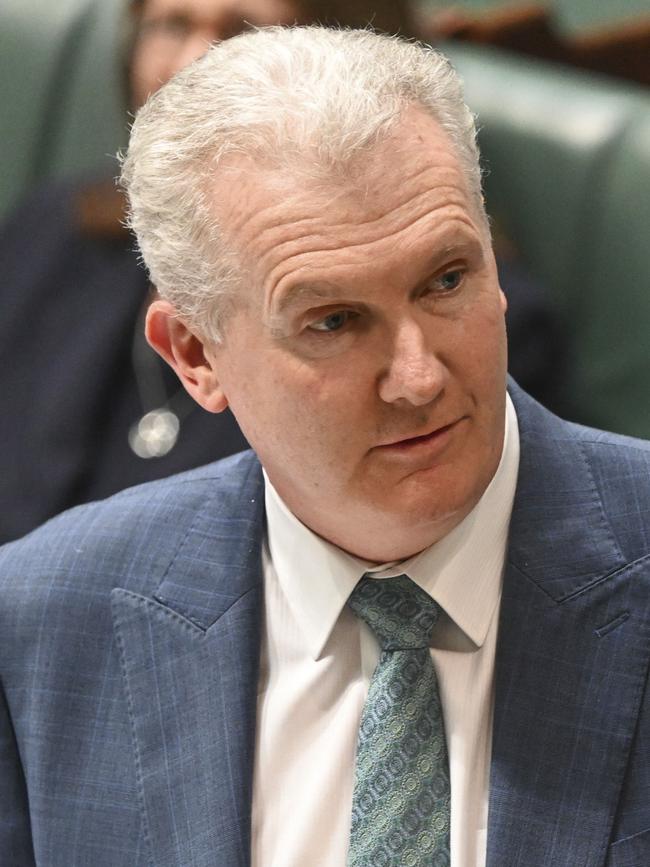 Workplace Relations Minister Tony Burke. Picture: NCA NewsWire/Martin Ollman