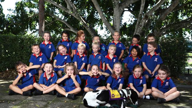 Mudgeeraba SS MFY - 4 classes . PREP K BACK ROW (L-R): Zoe Matthews, Maddison Holland, Tillie Coulson, Oakley Hartwig, Qualia Maher, Braxton Du Start, Levi McDonald MIDDLE ROW (L-R): Elijah Bennett, Eden Prater, Nixon Swan, Odyn Lavery, Ashton Siebrand, Tristan Crompton, Amelia Fewtrell FRONT ROW (L-R): Archer MacDonald, Max Walter, Misty Melrose, Scarlett Jones, Eliana Brunton-Hodge, Emmie Brookes, Lulu Balzarolo Photograph : Jason O'Brien