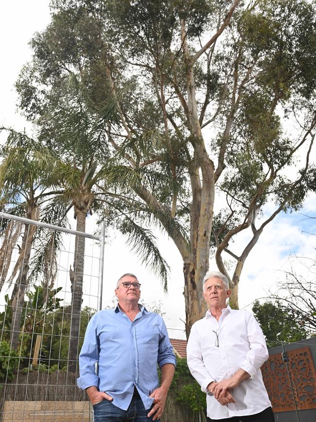 Anthony Scott and Peter Cittadini in front of the gum tree deemed “way too dangerous to be in a suburban backyard” by an arborist. Picture: Keryn Stevens