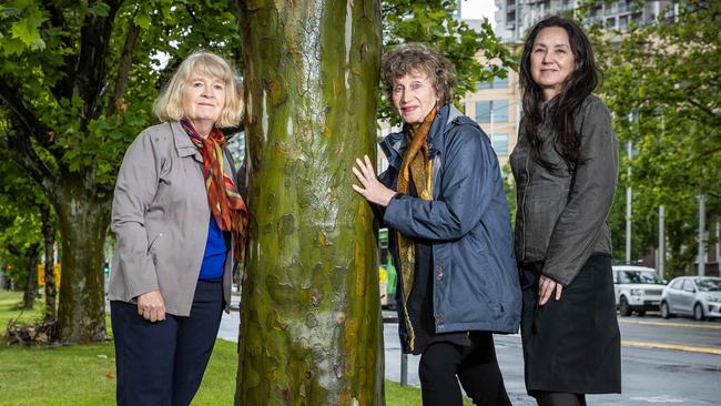 Protectors of Public Lands members Bea McNicholas, Fiona Bell and Jill Quirk are upset that Melbourne Council is removing London plane trees. Picture: Jake Nowakowski