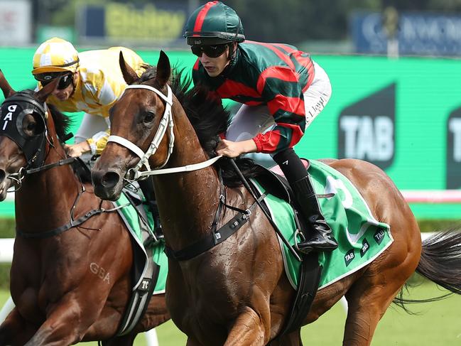 SYDNEY, AUSTRALIA - FEBRUARY 15: Zac Lloyd riding Lady Shenandoah win Race 7 TAB Light Fingers Stakes during Sydney Racing at Royal Randwick Racecourse on February 15, 2025 in Sydney, Australia. (Photo by Jeremy Ng/Getty Images)