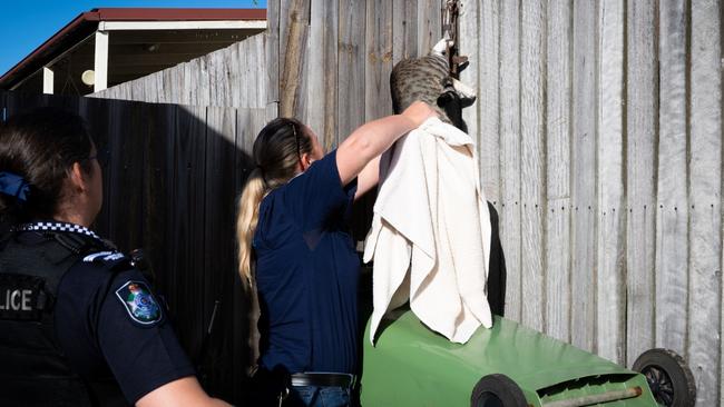 Police and RSPCA officer Jo Jordaan extricate the cat from the rusty illegal trap in Loganlea.