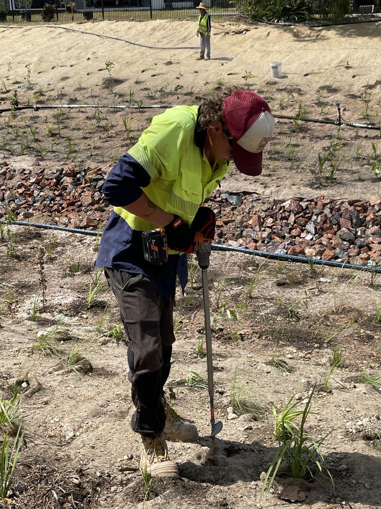 A worker drills a hole in the ground to plant one of 97,000 trees and grasses at Bushland Beach. Picture: Leighton Smith.