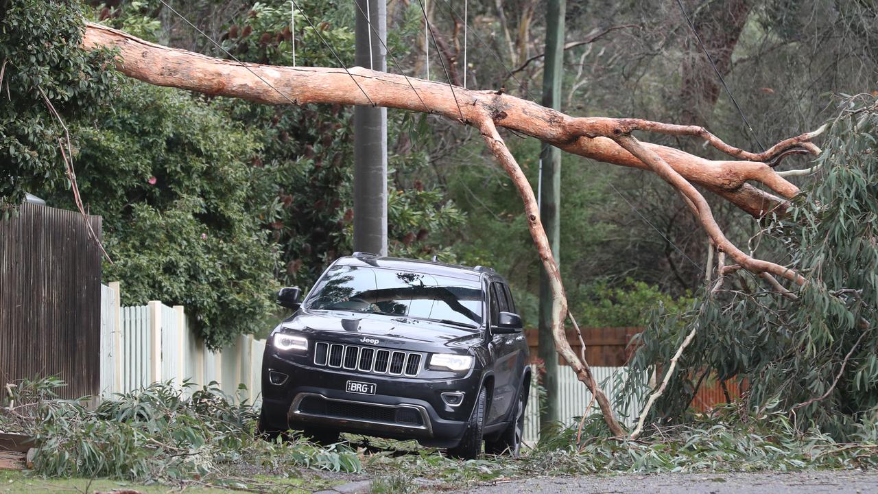 Wild weather hits Victoria overnight with heavy winds and rain. Picture: NCA NewsWire / David Crosling