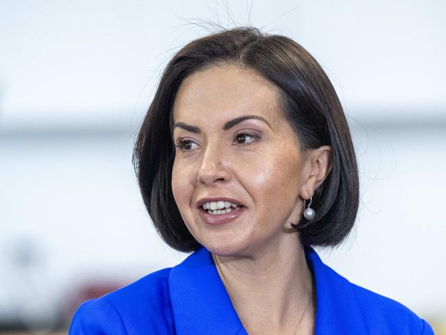 SYDNEY, AUSTRALIA. NewsWire Photos.July 31, 2024.Deputy Premier and Education and Early Learning Minister Prue Car announces  the NSW Government and South Australian GovernmentÃs Social Media Summit at Condell Park High School. Picture: NewsWire / Jeremy Piper