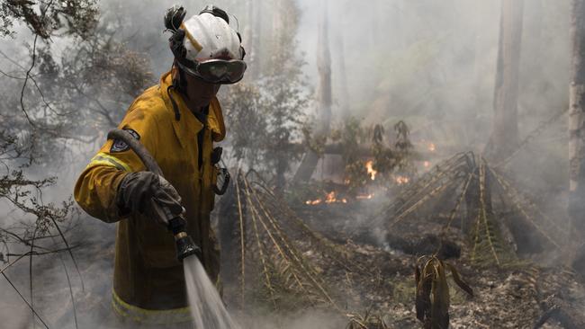 Huonville volunteer Tom Andrews fights a fire within the rainforest near the Tahune area. Picture: WARREN FREY/TFS