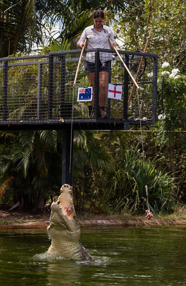 Speckles the psychic croc at Crocodylus Park predicts the winner of the Australia vs. England Women's World Cup semi-final. Picture: Pema Tamang Pakhrin