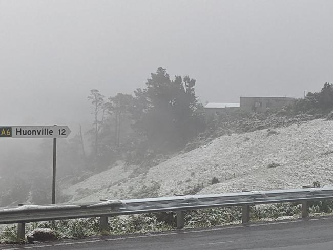 Snow blankets the Huon near Vinces Saddle Road on Tuesday morning.