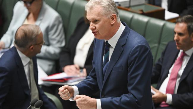 Workplace Relations Minister Tony Burke says the government is looking at ‘how we can make sure that we advance the rights of delegates at the workplace’. Picture: NCA NewsWire / Martin Ollman