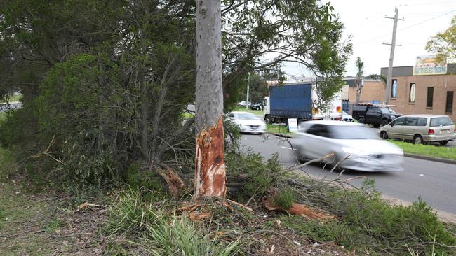 A young woman died after her car smashed into a tree in Wetherill Park last week. Picture: Max Mason-Hubers