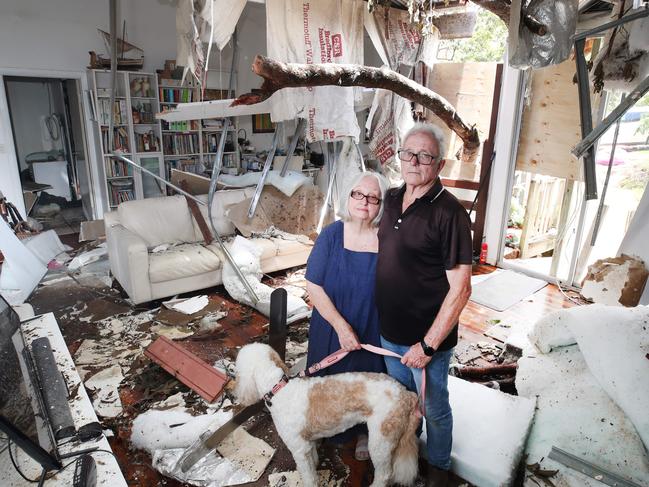 Mt Tamborine residents Susan and David Hanmore, with dog Gracie, survey the damages after a tree went through their home during a supercell storm. Picture: Glenn Hampson