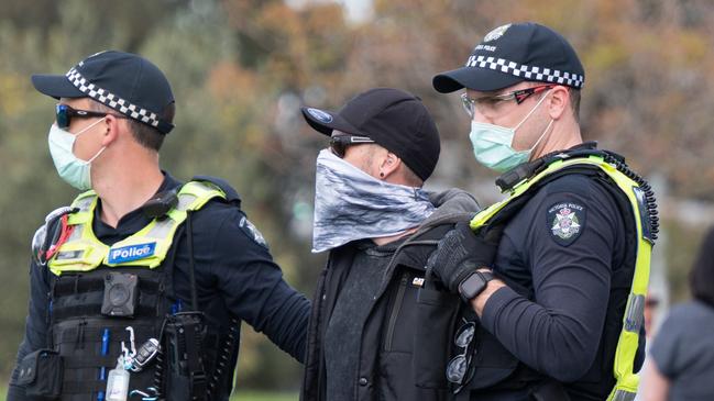 A man is escorted from the park by police. Picture: Tony Gough