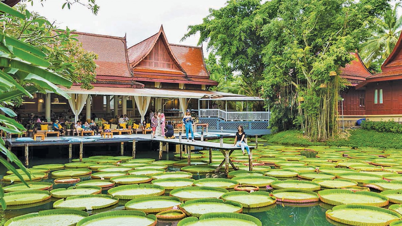 <h2>Best selfie spot</h2><p>It's no secret - Thais' photo addiction is on another level. Aware of that, the brains behind Ma Doo Bua Cafe offer drone shots of couples on a wooden boat, surrounded by Victoria water lilies on an artificial pond. Locals flock here rain or shine. Join in and take your picture, too.</p><h2>How to get around Phuket's Thalang district</h2><p>A Smart Bus ride from the airport to Phuket's west coast beaches costs about $4.50. Depending on traffic and how far you travel in Thalang district, the trip takes between 10 and 90 minutes. A taxi costs at least $35. Tuktuks or Bolt are other options.</p><p><strong>See also:&nbsp;</strong></p><p><a href="https://www.escape.com.au/experiences/beach/phukets-best-beaches-from-hidden-wonders-to-beachfront-bars/news-story/e903cd3f290d2d046707875a2a791f39">Best beaches in Phuket, Thailand</a></p><p><a href="https://www.escape.com.au/top-lists/best-hotels-in-phuket/image-gallery/7940860db79ccc3a0187941ad4a930b2">20 best hotels in Phuket</a></p><p><a href="https://www.escape.com.au/destinations/asia/thailand/thing-that-surprised-me-most-about-phuket/news-story/e6005326dc3b66b82e5f794fb4e9833e">Thing that surprised me most about Phuket</a></p>