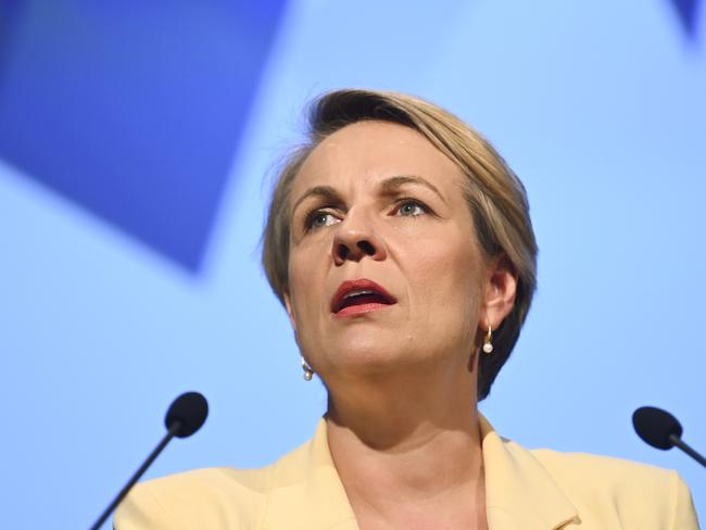 Shadow Education Minister Tanya Plibersek. Picture: AAP