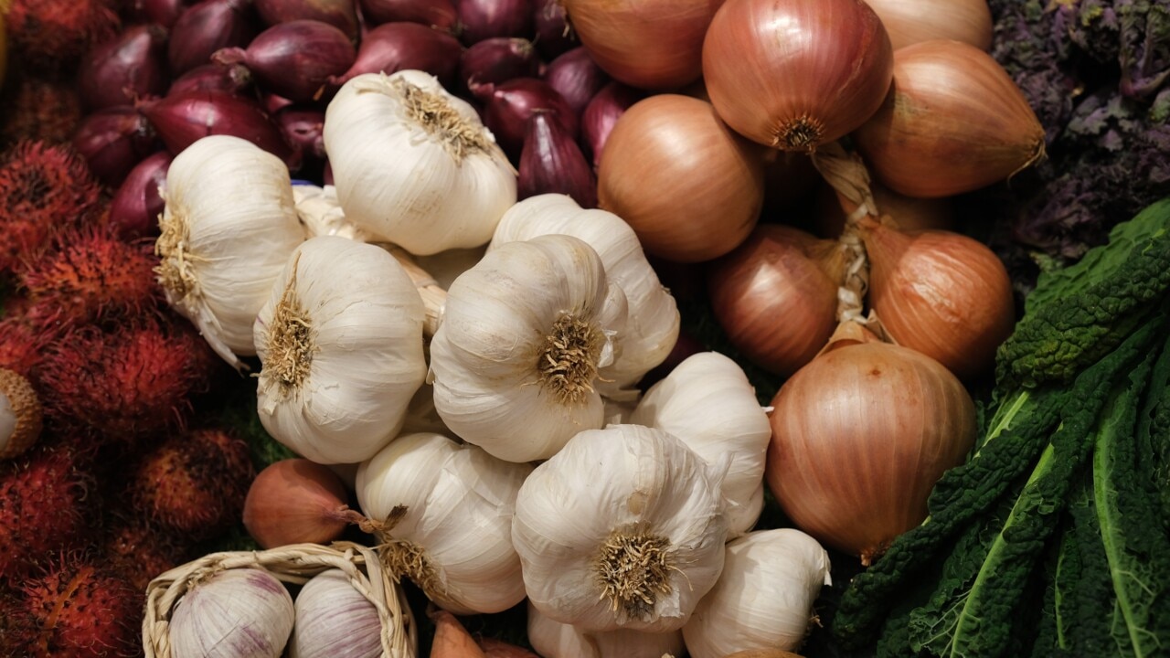 Tearless Onion and Vegetable Chopper 