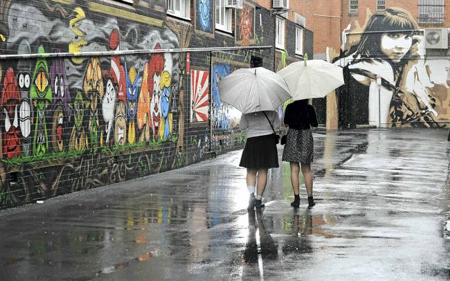 Street art on the walls of the Back Alley Gallery in Lismore’s Eggins Ln. Picture: Jay Cronan 