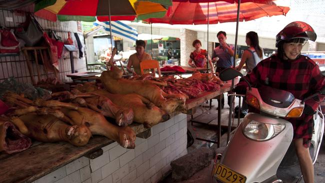 A stall selling slaughtered dogs in Yulin, where dog meat is eaten with lychees to celebrate the midsummer solstice. Picture: AFP