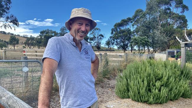 Chippin Estate market fruit and vegetable garden. Producer Shabe O'Keefe, at Woolamai in Bass Coast. PICTURE: Madeleine Stuchbery.