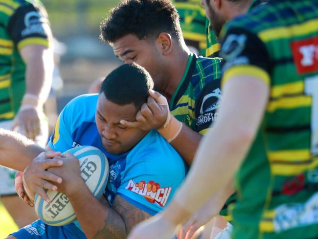 PARRAMATTA ADVERTISER/AAP. Two Blues player Tala Moli. Lidcombe, Saturday 3 August, 2019. Just need some action shots of the Shute Shield clash between Western Sydney and Gordon at Lidcombe Oval. (AAP IMAGE / Angelo Velardo)