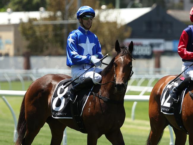 SYDNEY, AUSTRALIA - JANUARY 25: Zac Lloyd riding Open Secret   win Race 1 The Agency Real Estate Handicap during Sydney Racing at Royal Randwick Racecourse on January 25, 2025 in Sydney, Australia. (Photo by Jeremy Ng/Getty Images)