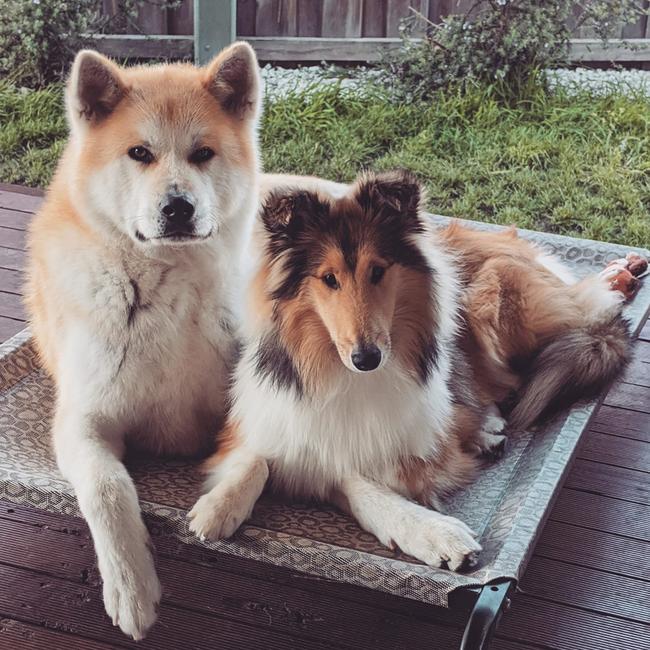 Tassie's Pawfect Pairs | Ylenia Pennacchi: Wendy and Naruto