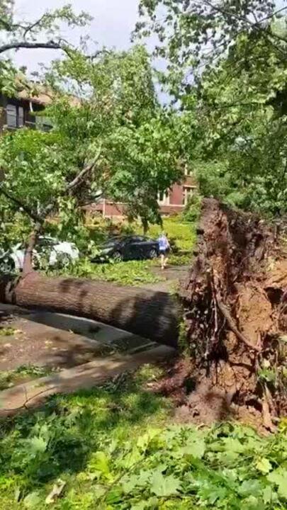 Uprooted Tree Lies Across Road in Aftermath of St Louis Storm