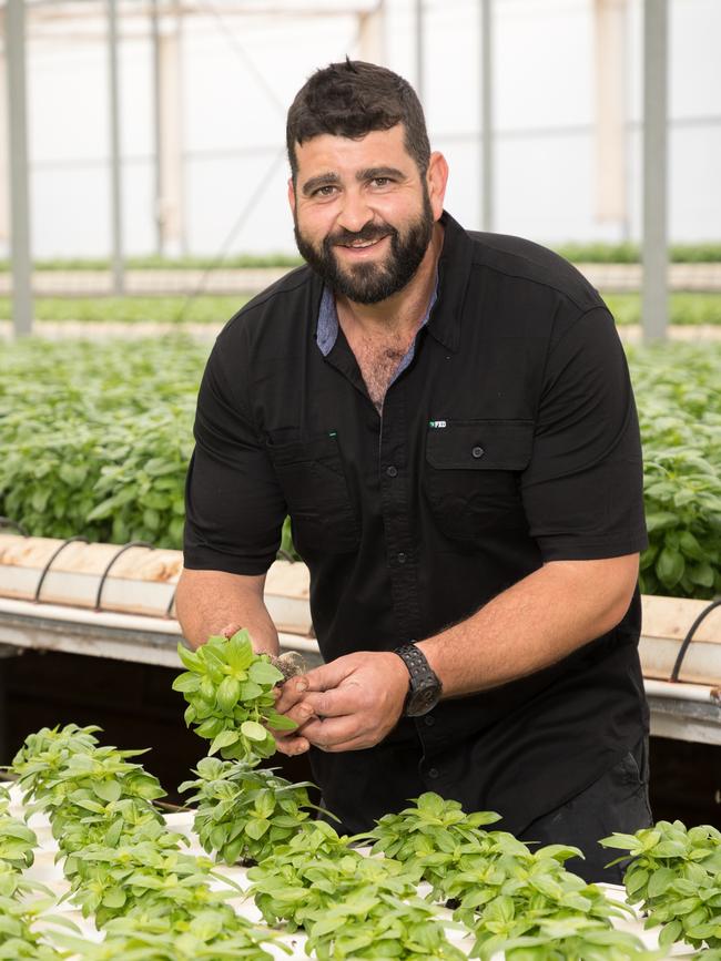 Quality Harvest operates seven days a week, 52 weeks a year. Picture: Ausveg