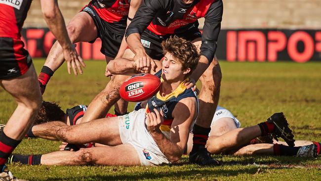 Jordon Butts has been outstanding in his debut season with Adelaide and he will be important in the finals. Picture: Matt Loxton