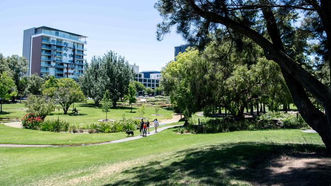 Veale Gardens, also known as Walyu Yarta, is watered and green. Picture: AAP / Morgan Sette