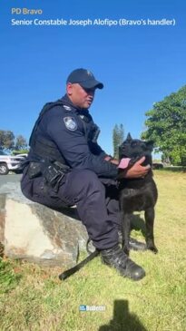 Police dogs set to retire