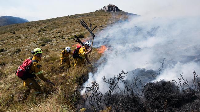 Tasmania Fire Service firefighters at the Gell River fire. Picture: WARREN FREY/TASMANIA FIRE SERVICE