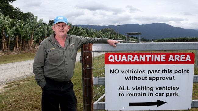 Cameron Mackay outside his banana plantation at South Davidson Rd in the Tully Valley. A small block of his property was infected with Panama TR4 disease at Bolinda in 2018. PICTURE: STEWART McLEAN