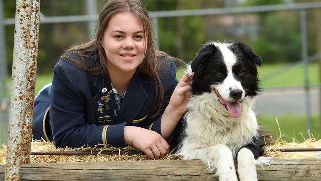 Lilydale Show promises lots of fun activities | Herald Sun