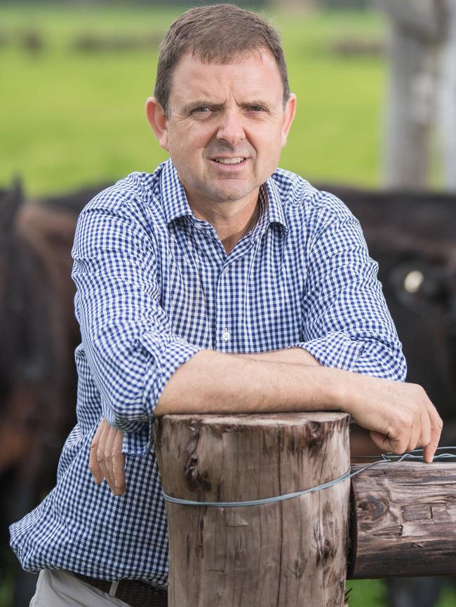 MacKillop MP Nick McBride. Picture: Tom Huntley