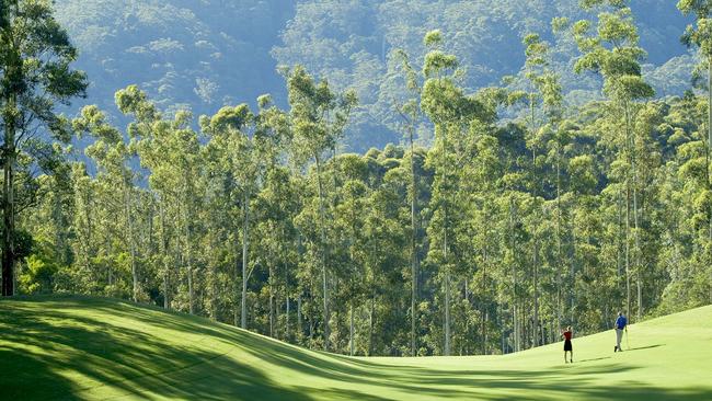 Stunning vista...the fourth hole framed by the towering trees that give Bonville a special quality across the whole course outside Coffs Harbour. Photo: Supplied