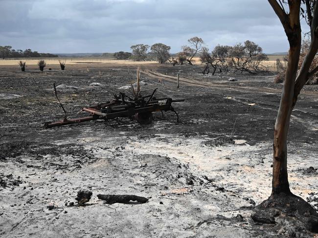 This photo taken on January 16, 2020 shows a burnt out part of local farmer Rick Morris' 2,300-acre property on Kangaroo Island after bushfires ravaged the island off of the south coast of Australia. - Australia is reeling from bushfires that since September 2019 have claimed 28 lives, including two on Kangaroo Island, and razed 10 million hectares (100,000 square kilometres) of land -- an area larger than South Korea or Portugal. (Photo by PETER PARKS / AFP) / TO GO WITH Australia-livestock-fire-environment,FOCUS by Holly ROBERTSON