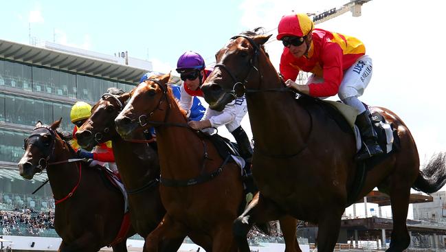 Levendi scored a good win in the Carbine Club Stakes at Flemington.