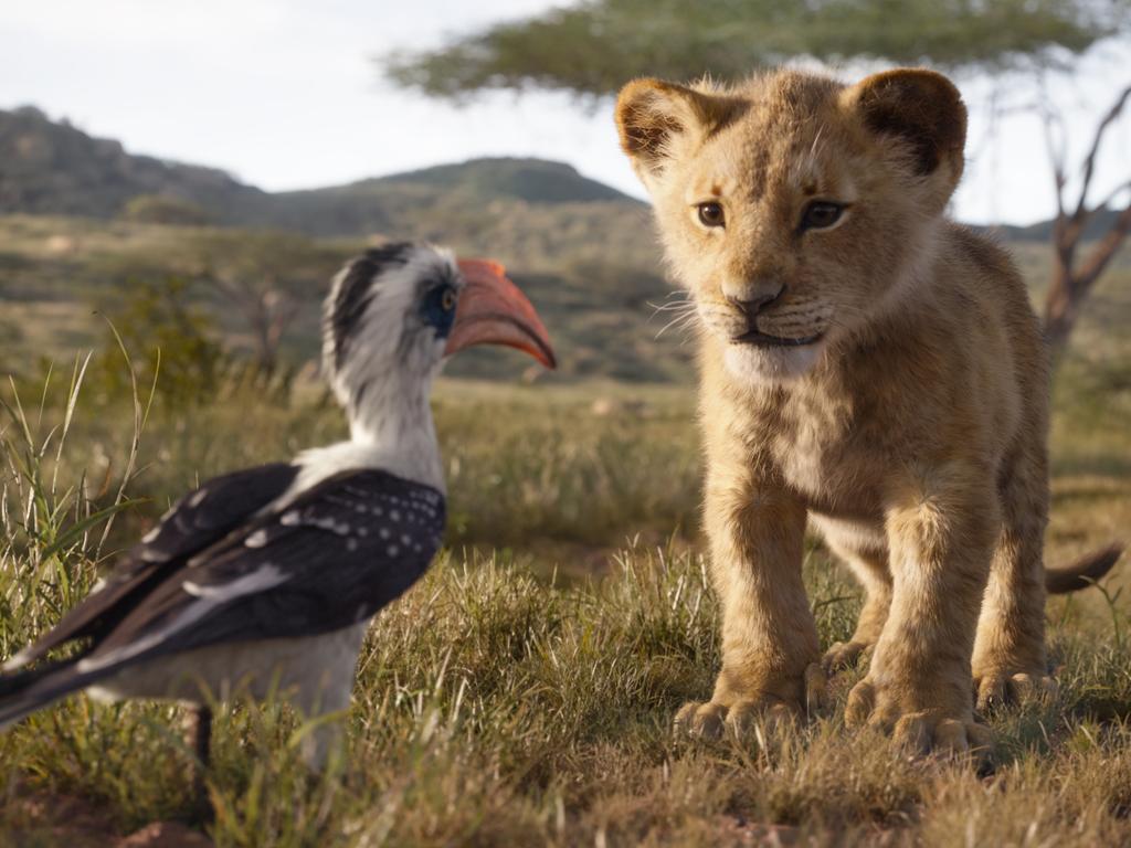 Back to the savanna