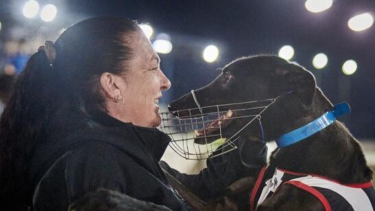 Trainer Sonia Kempshall gets a cuddle from her greyhound Modified Trunk before his return to the track after and eight month injury.