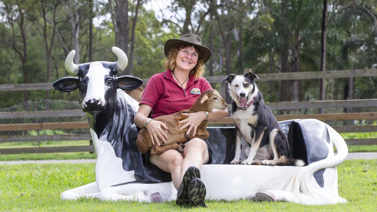 Katrina White from White Ridge Farm in Caboolture runs educational programs for school visits. Picture: Renae Droop