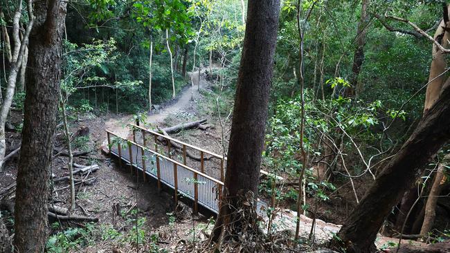 Stage One of the Wangetti Trail, an 7.8 kilometre stretch of what will eventually become a 94 kilometre hiking and mountain biking track connecting Palm Cove to Port Douglas along the Macalister Range National Park, designed and built by the Queensland Government and the local Indigenous people. Picture: Brendan Radke