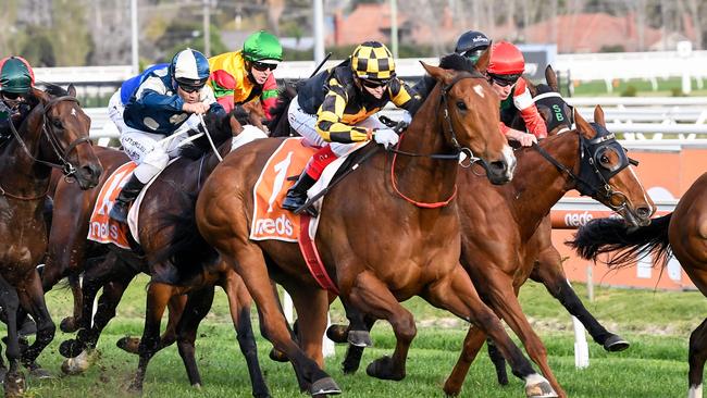 Behemoth won the Sir Rupert Clarke Stakes in the spring.