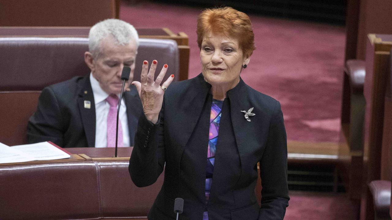 Pauline Hanson made an inflammatory speech in the Senate. Picture: NCA NewsWire / Gary Ramage